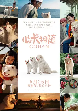 心犬相随 [HD]-柒伍零影视资源站