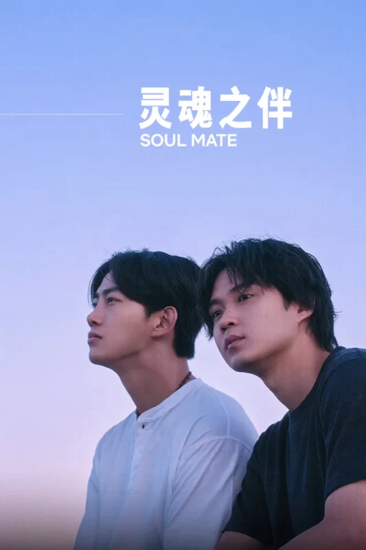 灵魂之伴 [更新至8集]-柒伍零影视资源站