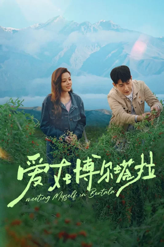爱在博尔塔拉 [更新至16集]-柒伍零影视资源站
